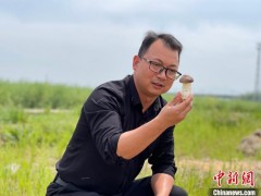 【十年@每一个奋斗的你】安徽黄山房企高管变身职业“新农人”