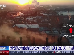 欧盟对俄煤炭实行禁运 设120天“过渡期”