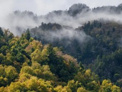 三个副省接连落马，辽宁反腐重点在哪？