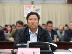 西藏自治区林芝市原市长旺堆被查 系主动投案