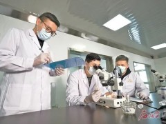 智慧畜牧开启养殖新时代