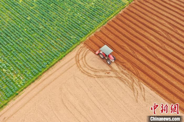 资料图：江西省吉安市泰和县塘洲镇洲头村，农民驾驶农机正在翻耕整地，准备种植蔬菜。邓和平 摄