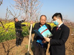 春暖花开 多地检察机关开展普法活动
