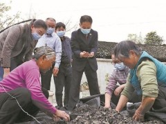 多地检察机关护航农耕安全