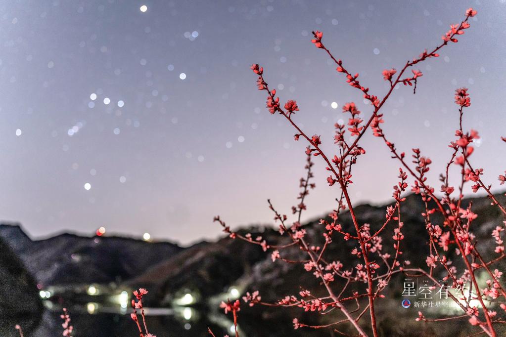 这是北京市天文爱好者周博2022年3月31日在北京怀柔黄花城水长城拍摄的“花语星空”。（本人供图）