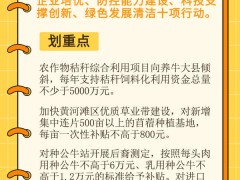 抓住“牛”机遇 壮大牛产业！河南出台肉牛奶牛产业发展行动计划