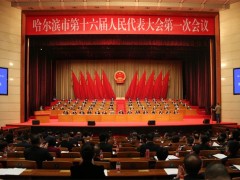 市十六届人大一次会议举行第二次全体会议