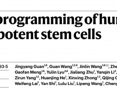 中国生命科学研究新突破：化学小分子完整逆转人体细胞“发育时钟”