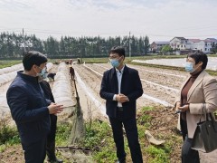 株洲：聚焦统筹疫情防控和经济社会发展开展督查
