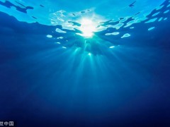 全球海洋发现5000多种新病毒