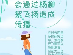 飞絮会不会传播新冠病毒？易过敏人群应如何做好防护？