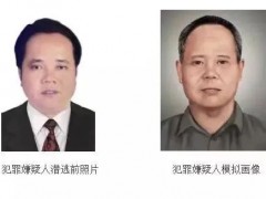 最高30万！广东一地发悬赏通告！
