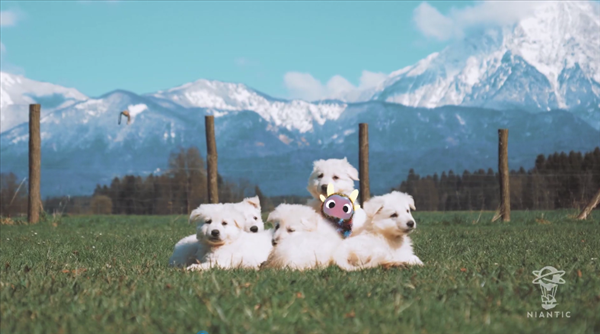 《Pokemon Go》开发商新作公布 AR电子宠物游戏