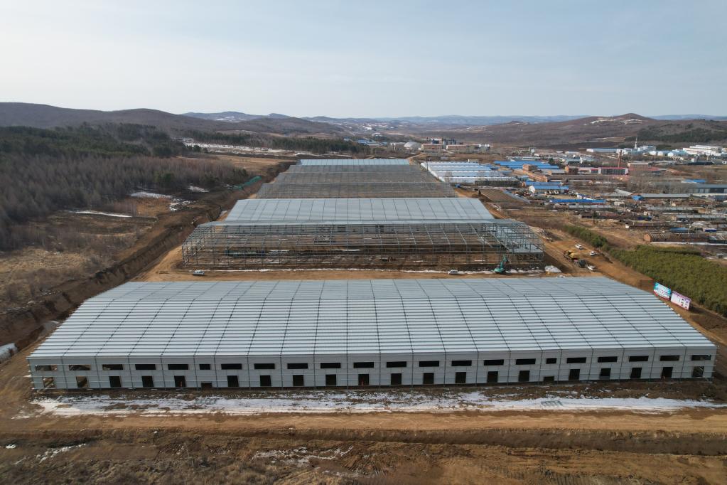 黑龙江省大兴安岭国邦北药仓储加工集散基地项目施工现场。(受访者供图)