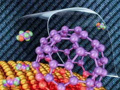 Science刊发！厦大团队首次发现“纳米王子”的这一功能！