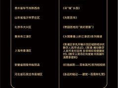 2021年全国县融中心优秀奖项