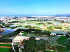 海南崖州湾种子实验室：每一粒种子都有身份证
