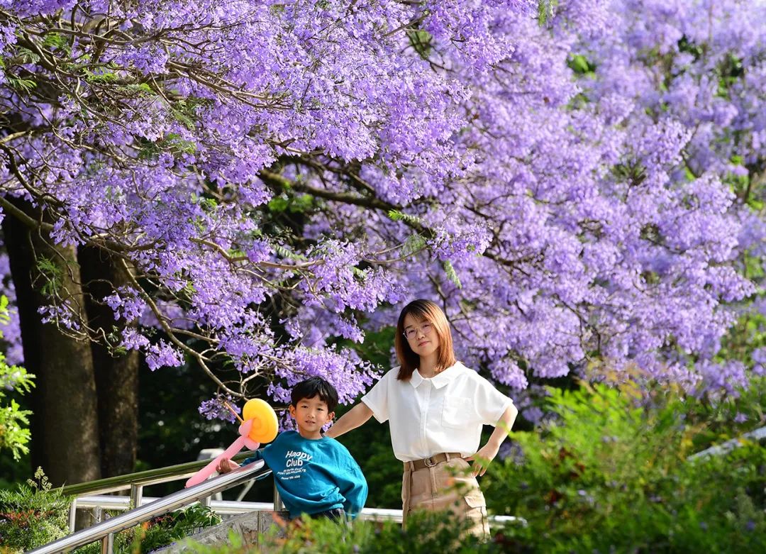 保山市委宣传部 供图