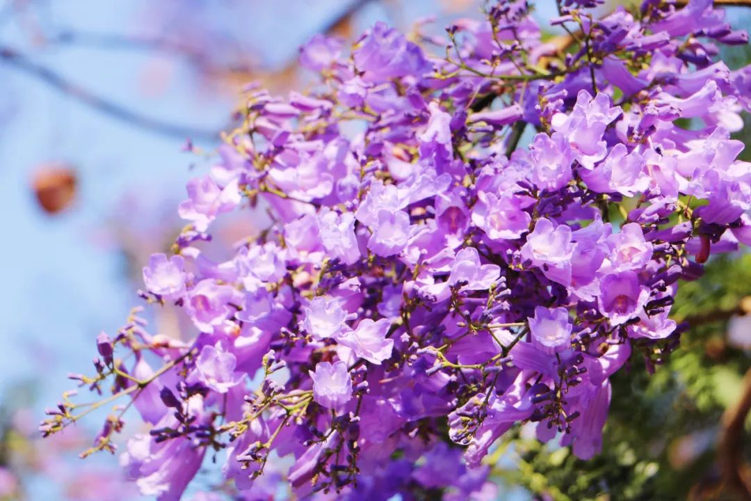 保山市委宣传部 供图