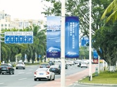 海口35万余盆鲜花将扮靓椰城迎盛会