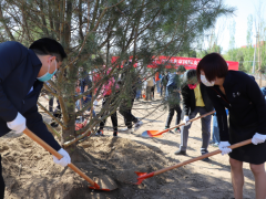 40多国友人参与！第七届“北京国际友好林”植树活动举行