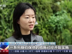 助企纾困 应变克难丨政策措施“组合拳”确保农资保供稳价