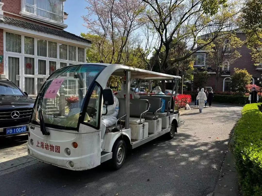  图/上海动物园