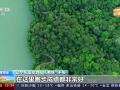 福建将乐常口村的“山水画”