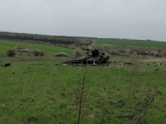 俄罗斯一架农用直升机坠毁 导致1人死亡