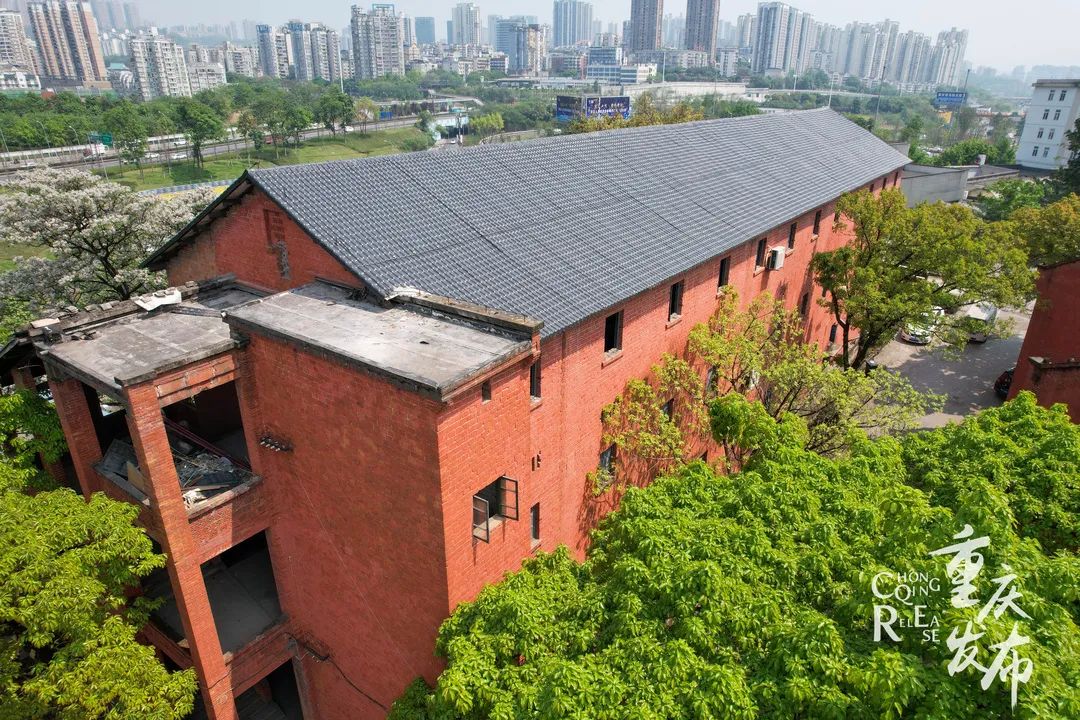 603仓库周围植被茂密