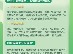 @农民朋友 2022年河南小麦后期管理技术指导意见来了
