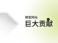 什么是微型网站以及如何在您的在线策略中利用它