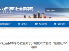 “山寨证书”，严查！