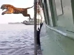 “少年派的奇幻漂流”？！