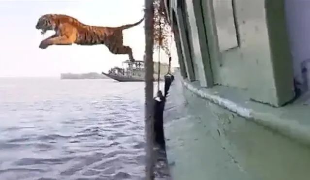 视频截图