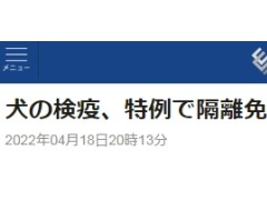 日媒：为给入境的乌难民“减负”，日本政府开特例为乌难民的狗放宽狂犬病检疫规定
