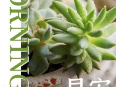 北京早晨有轻雾 最高气温27℃ 气温明显升高注意调整着装