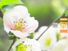 早间播报【2022年4月19日】