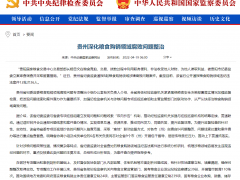 中央纪委国家监委网站：贵州深化粮食购销领域腐败问题整治