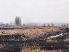 黑龙江：多地因露天焚烧秸秆及根茬残余物等被约谈