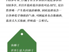 神奇植物在哪里？一图看懂国家植物园四大看点