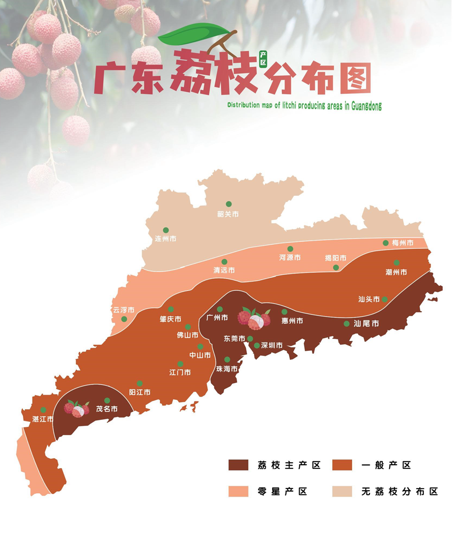 广东荔枝分布图&荔枝主要品种展示(双击查看大图)