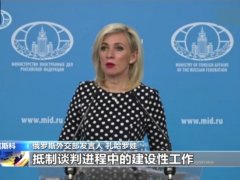俄罗斯称已向乌方转交和平条约谈判文件草案