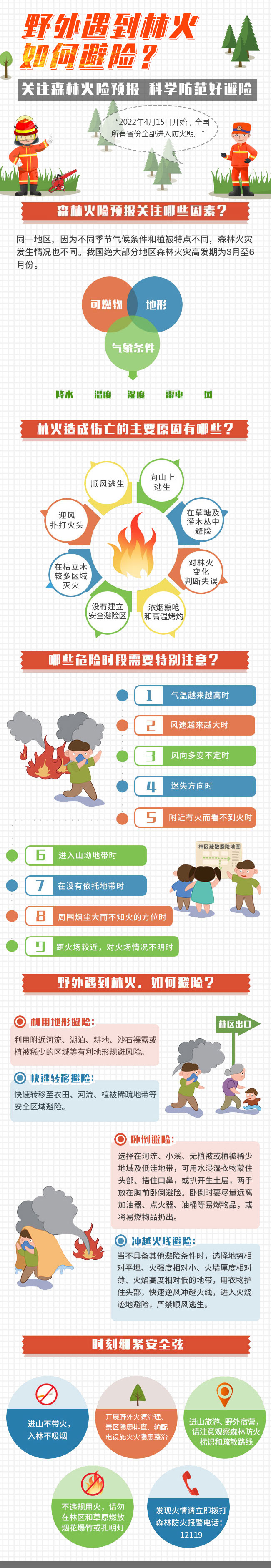 阅读下一篇: