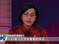 印尼财长：美国代表退场不会削弱G20促合作