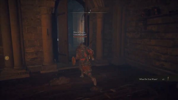 《老头环》无缝联机MOD 双王傍地走,闲逛交界地