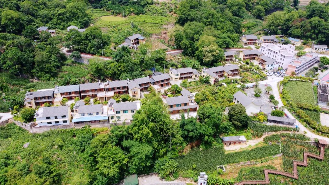 麻栗坡县天保镇老寨村。张文峰 摄