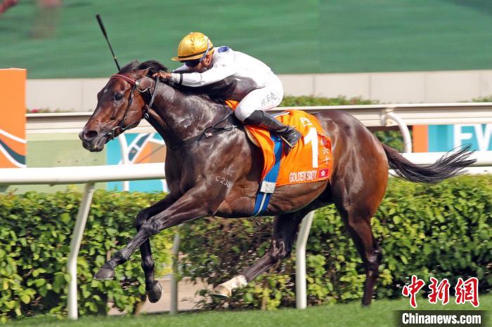 香港马王“金枪六十”刷新香港赛驹的头马纪录,并成为香港历来累积最多奖金的赛驹。 香港赛马会 摄