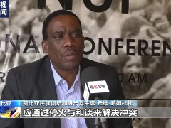 总台专访丨赞比亚政界人士：北约是俄乌冲突和局势恶化的始作俑者