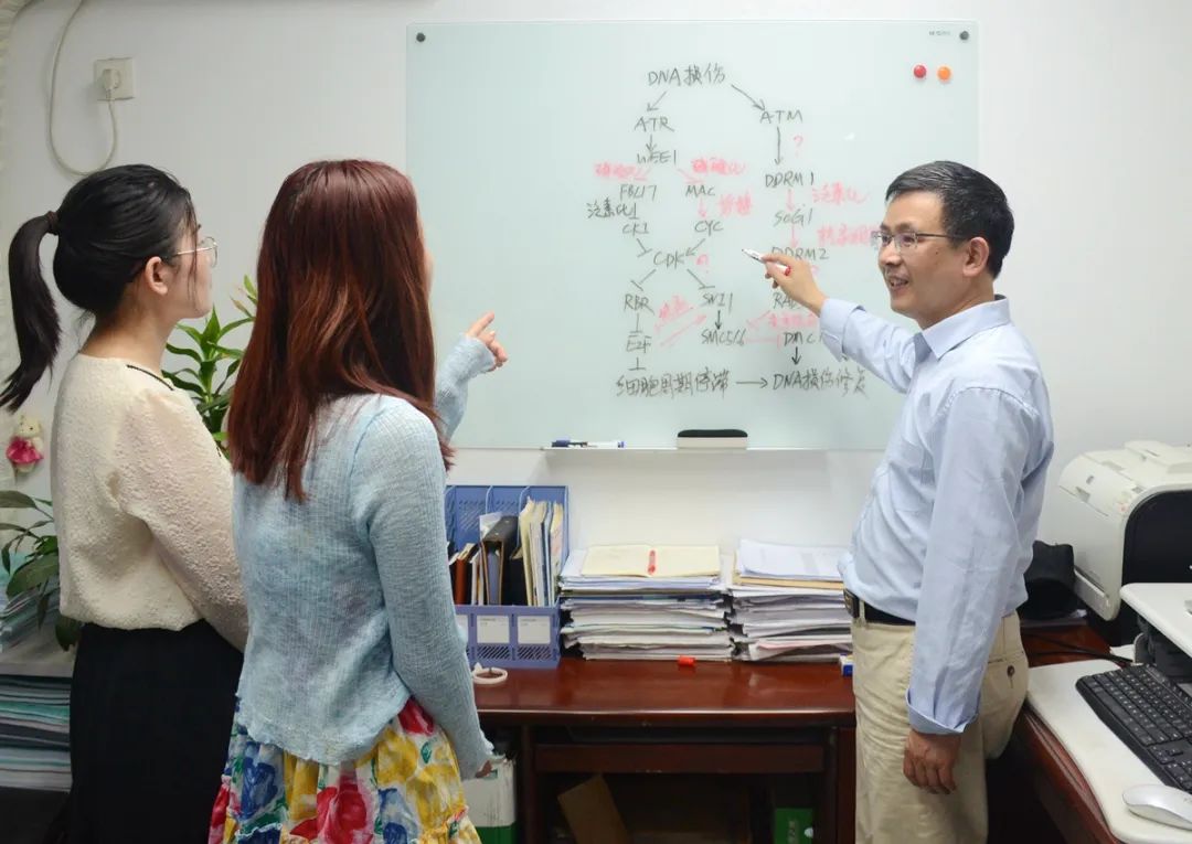 ▲严顺平老师与学生一起在白板上“探案”(匡敏 摄)